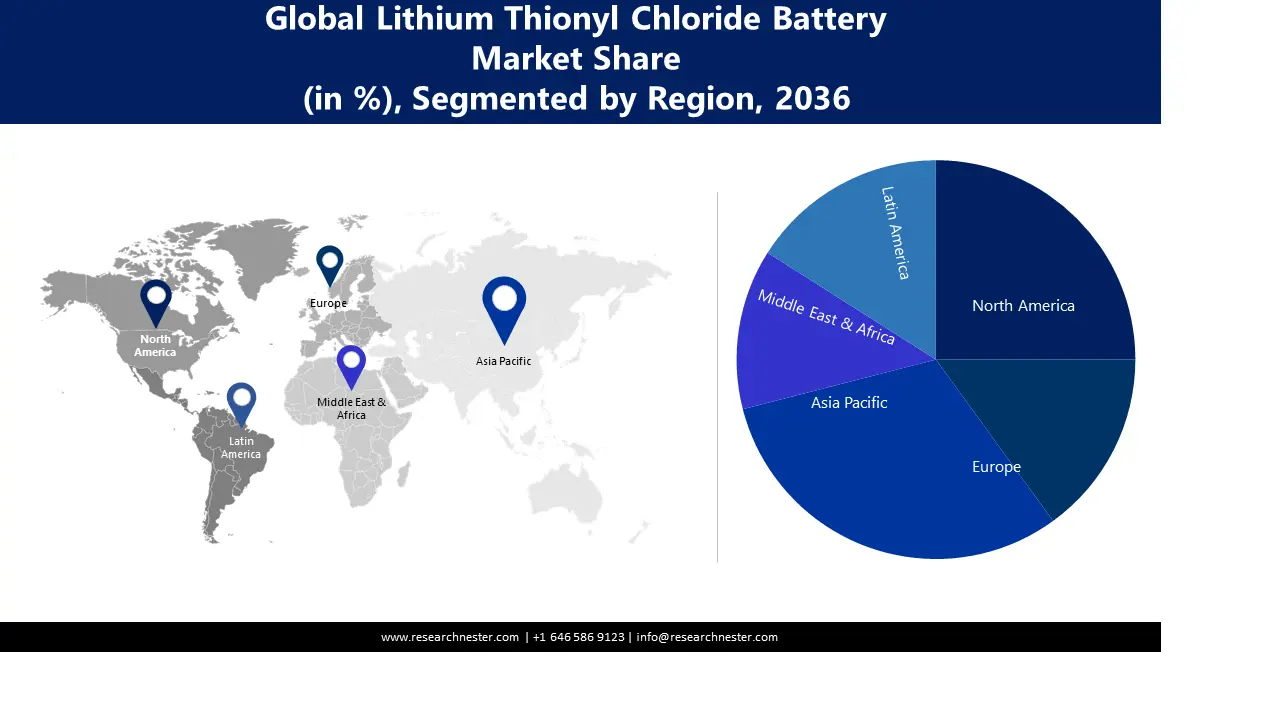 Lithium Thionyl Chloride Battery Market size